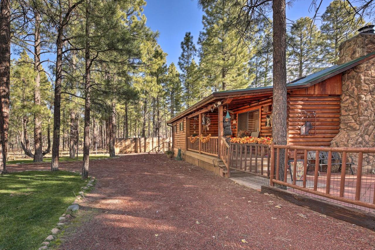 Rustic Lakeside Cabin - Family And Pet Friendly! パイントップ・レイクサイド エクステリア 写真